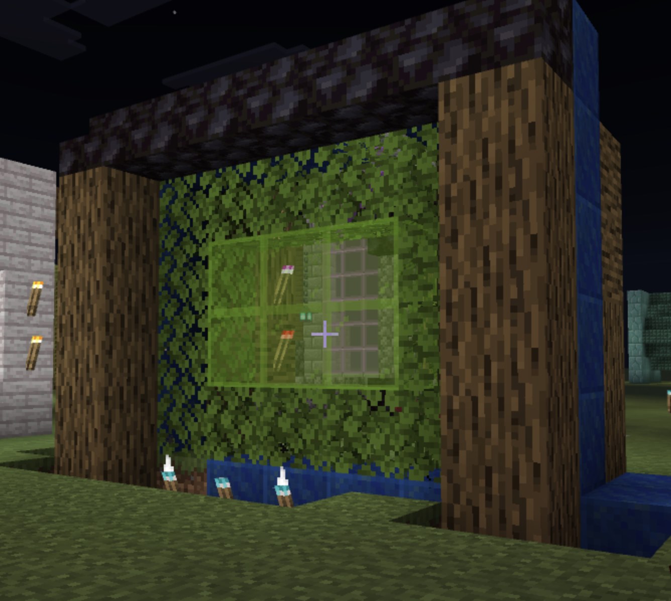 The Secret Forest Window