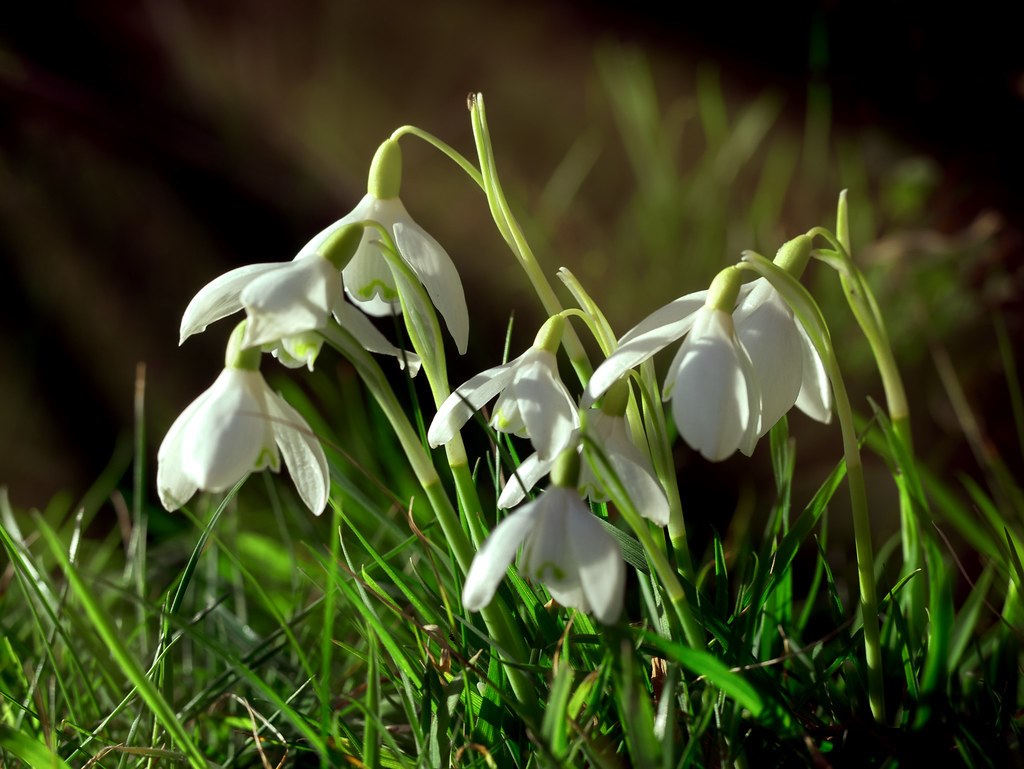 Newsletter February 2026