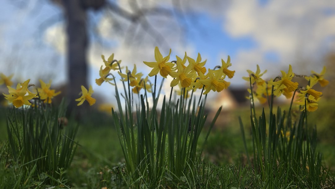 Newsletter March 2026